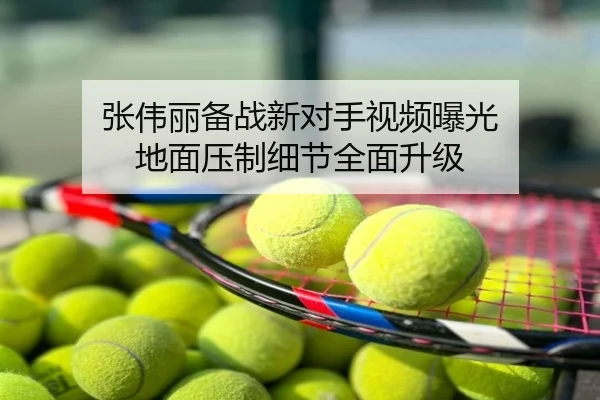 张伟丽备战新对手视频曝光 地面压制细节全面升级